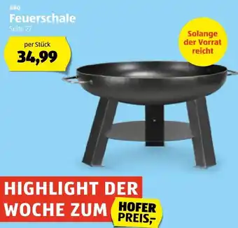 Hofer BBQ Feuerschale Angebot