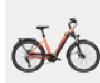 XXL Sports E-bike quadriga town&country perf cx Angebot