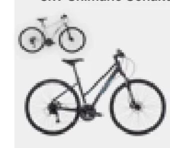 XXL Sports Damen traverse ltd hd lo Angebot