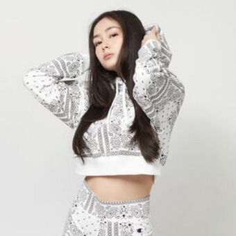Urban evoution hooded crop top