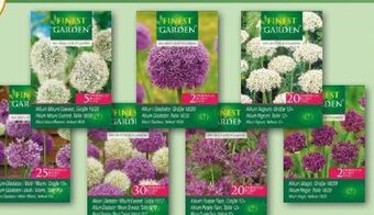 Norma Blumenzwiebeln Angebot