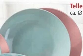 Norma Teller Angebot