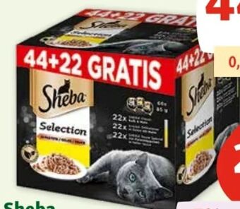 Fressnapf Katzennahrung Angebot