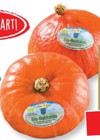 SPAR Gourmet Bio-hokkaido kürbis Angebot
