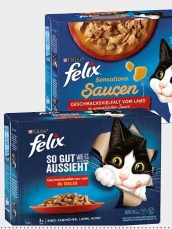 Interspar Felix katzennahrung Angebot