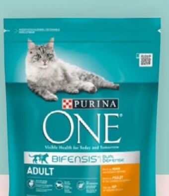 Bipa One katzentrockenfutter Angebot