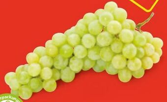 Hofer Trauben Angebot