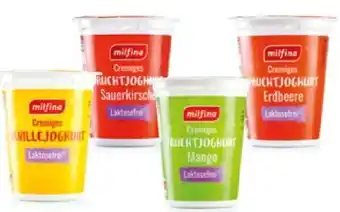Hofer Laktosefreies fruchtjoghurt Angebot