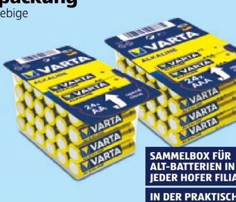 Hofer Batterien Angebot