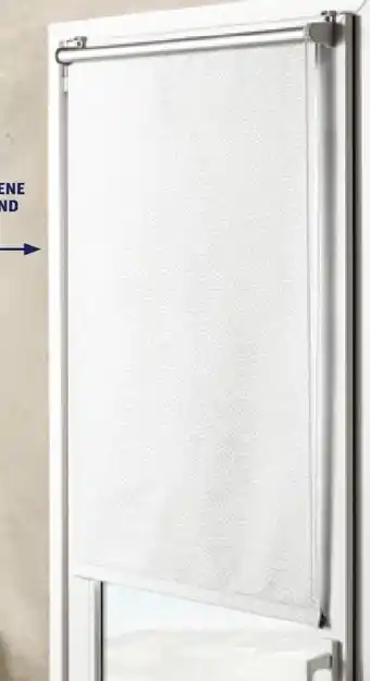 Hofer Thermo rollo Angebot