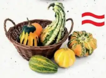 Zierkürbis mix