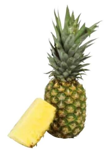 Transgourmet Ananas Angebot