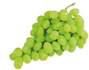 Transgourmet Trauben Angebot