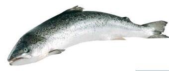 Transgourmet Lachsfilet Angebot