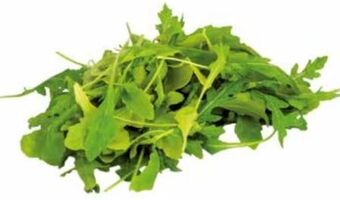 Transgourmet Bio rucola Angebot