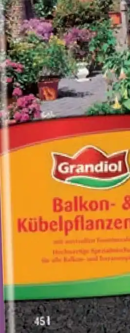 Lidl Balkon-kübelpflanzenerde Angebot