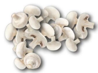 Lidl Champignons weiß Angebot