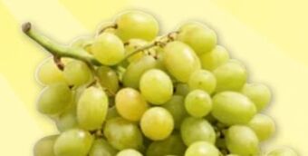 PENNY Trauben sultanas Angebot