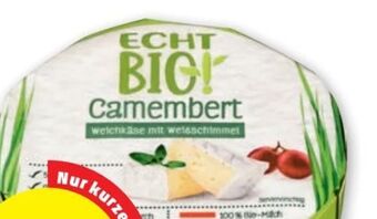 PENNY Camembert Angebot