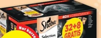 PENNY Selection Angebot