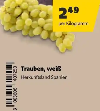 Landmarkt Trauben, weiß Angebot
