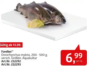 AGM Forellen 200-500 g Angebot