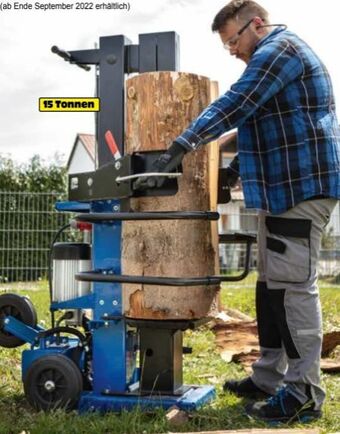 Zgonc Holzspalter compact 15 t Angebot