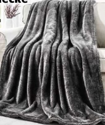 Norma Kuscheldecke knut Angebot