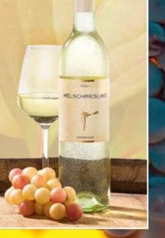 Norma Welschriesling Angebot