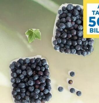 T&G Heidelbeeren Angebot