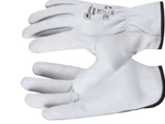 Zgonc Handschuhe driver Angebot