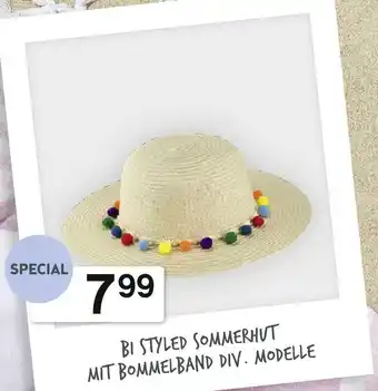 Bipa Bi Style Sommerhut Angebot