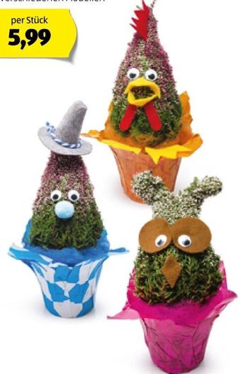 Hofer Herbstlicher wichtel Angebot