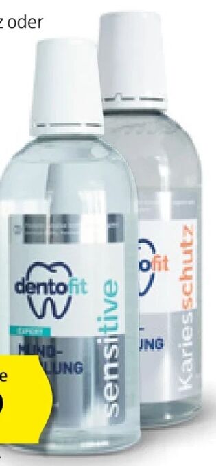 Hofer Premium mundspülung Angebot