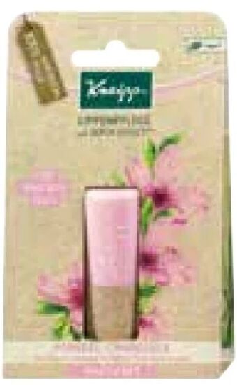 dm Lippenpflege Angebot