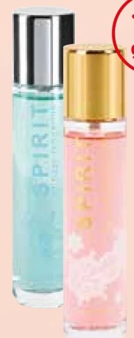 dm Damen edp Angebot