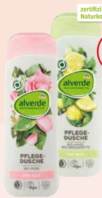 dm Dusche Angebot