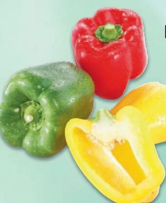 Metro Paprika tricolore Angebot