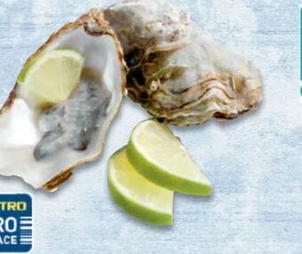 Metro Austern Angebot