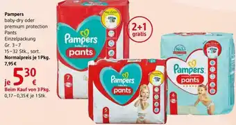 dm Pampers Baby-dry oder Premium Protection Pants Einzelpackung Angebot