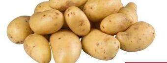 Transgourmet Kartoffeln Angebot