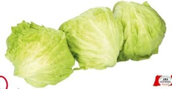 Transgourmet Eisbergsalat Angebot