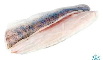 Transgourmet Zanderfilet mit haut Angebot