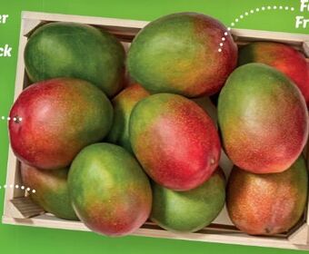 Lidl Mango Angebot