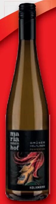 Lidl Grüner veltliner perfektion Angebot