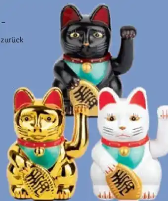Lidl Winkekatze Angebot