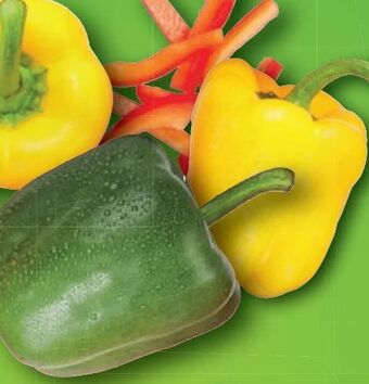Lidl Paprika mix Angebot