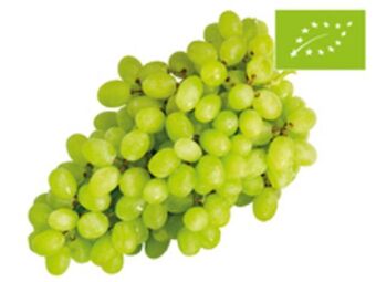 Lidl Bio trauben hell kernlos Angebot