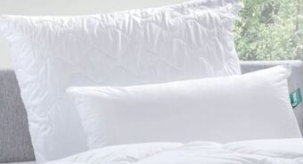 Möbel Ludwig Kissen Angebot