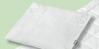 Möbel Ludwig Kissen Angebot